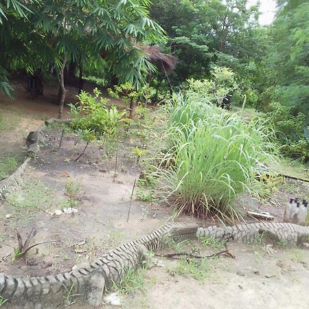 Little Baobab Bed & Breakfast Abeme ภายนอก รูปภาพ