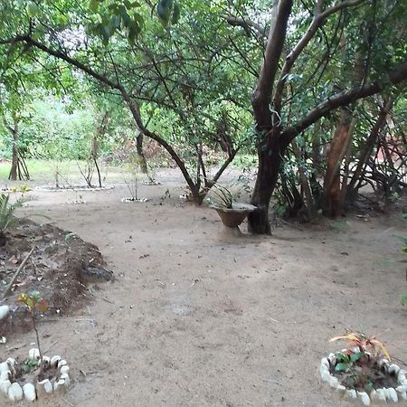 Little Baobab Bed & Breakfast Abeme ภายนอก รูปภาพ