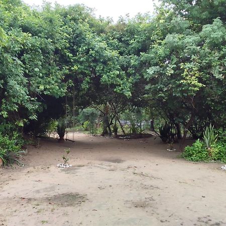 Little Baobab Bed & Breakfast Abeme ภายนอก รูปภาพ