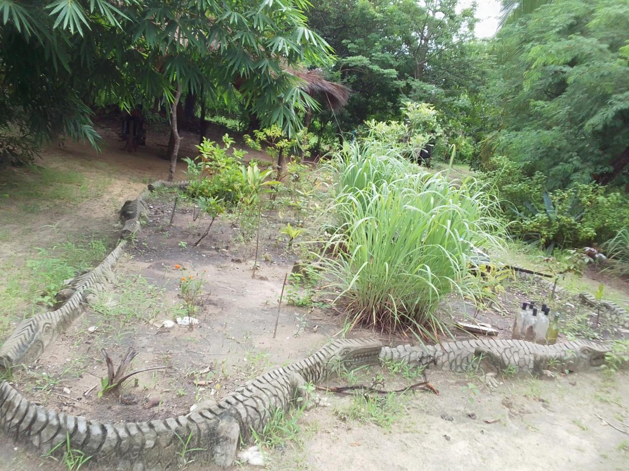 Little Baobab Bed & Breakfast Abeme ภายนอก รูปภาพ