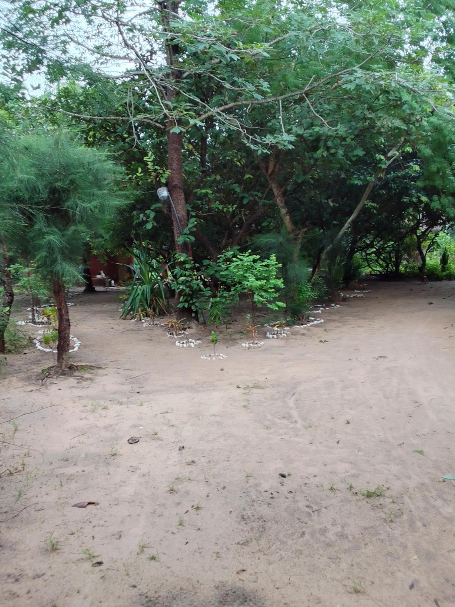 Little Baobab Bed & Breakfast Abeme ภายนอก รูปภาพ