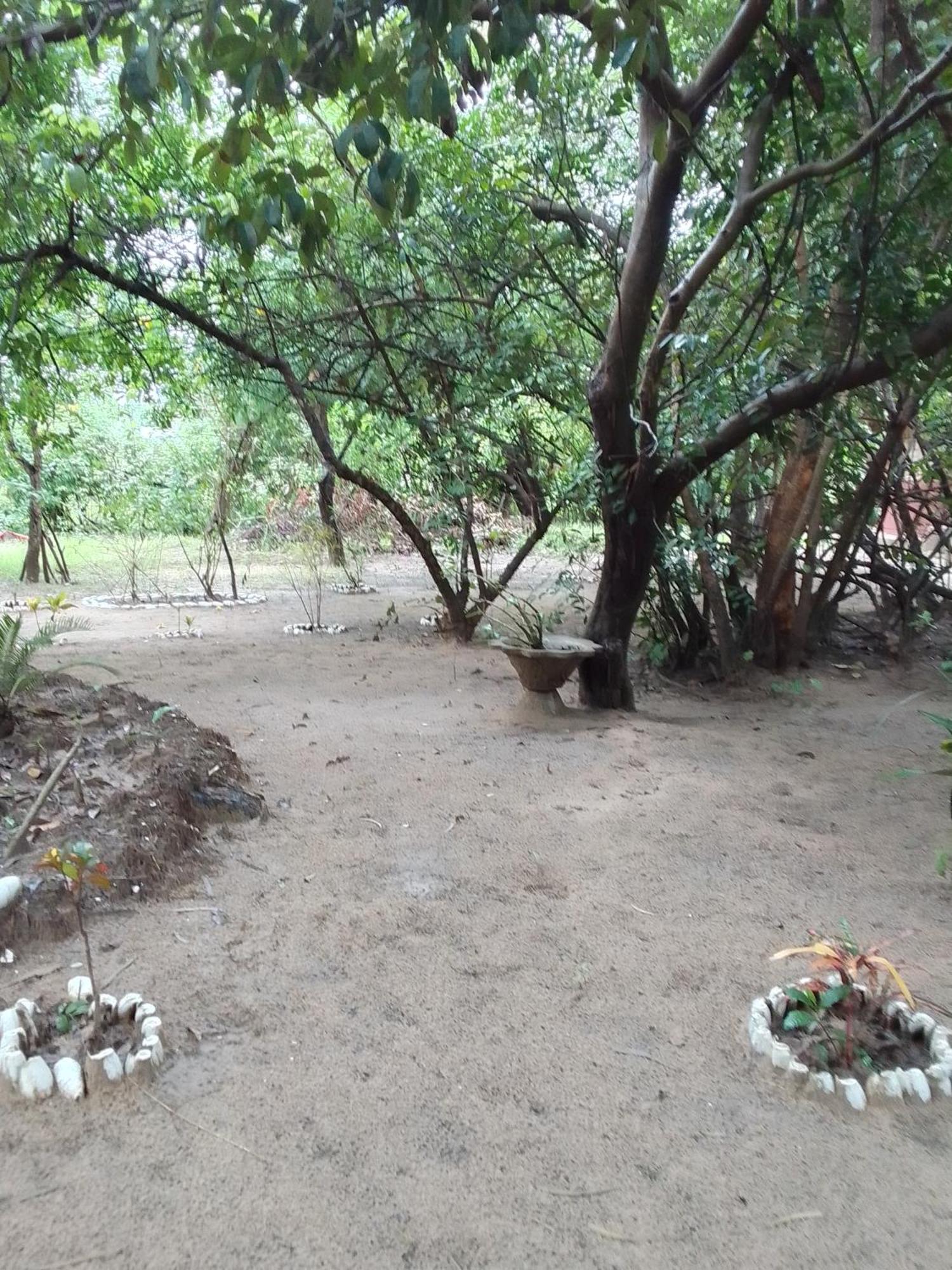 Little Baobab Bed & Breakfast Abeme ภายนอก รูปภาพ