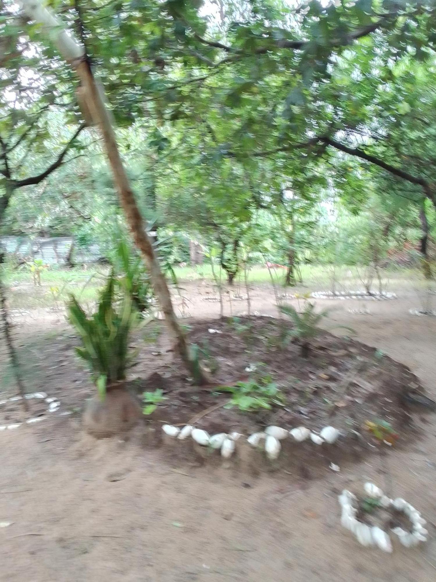 Little Baobab Bed & Breakfast Abeme ภายนอก รูปภาพ