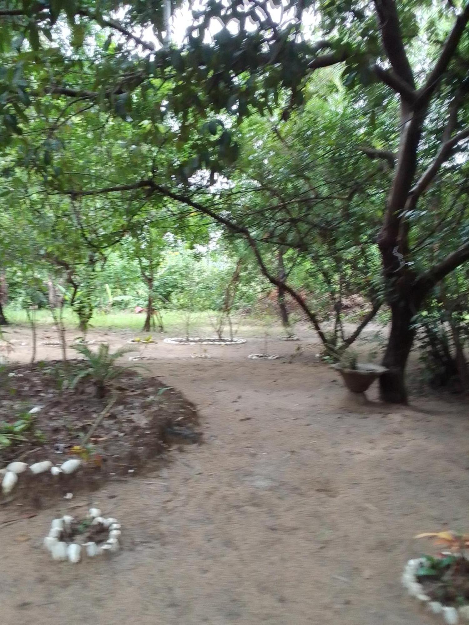 Little Baobab Bed & Breakfast Abeme ภายนอก รูปภาพ