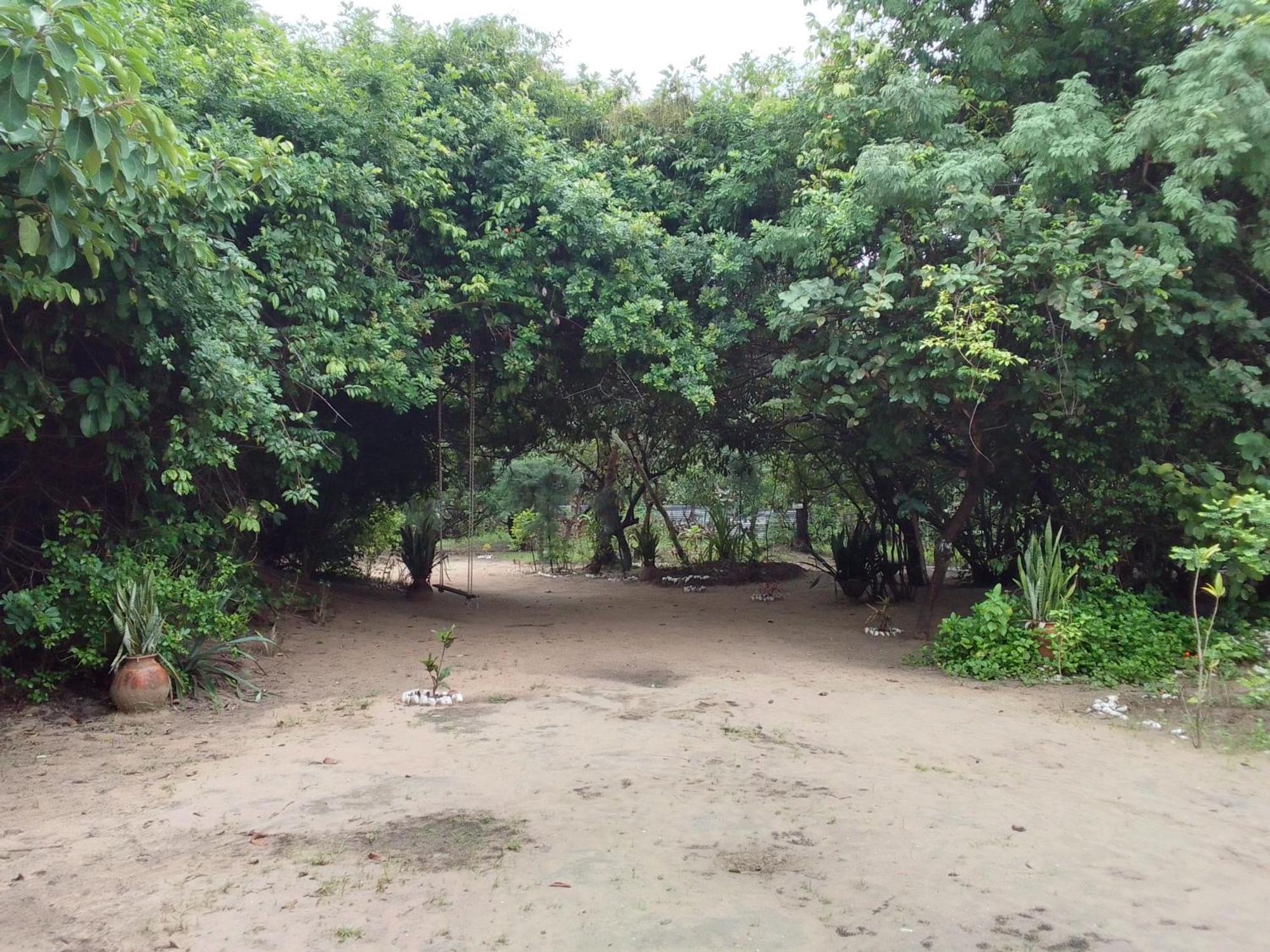 Little Baobab Bed & Breakfast Abeme ภายนอก รูปภาพ