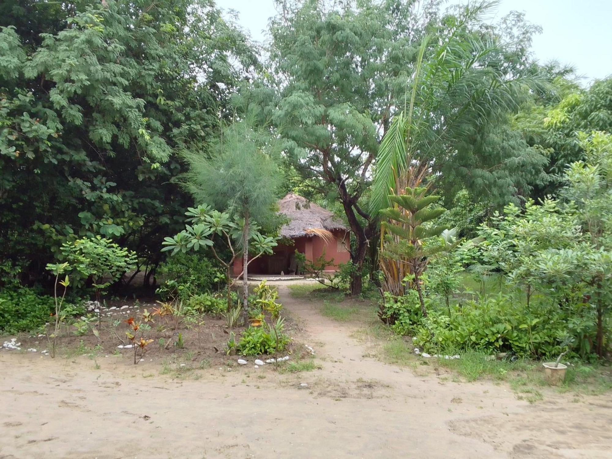 Little Baobab Bed & Breakfast Abeme ภายนอก รูปภาพ